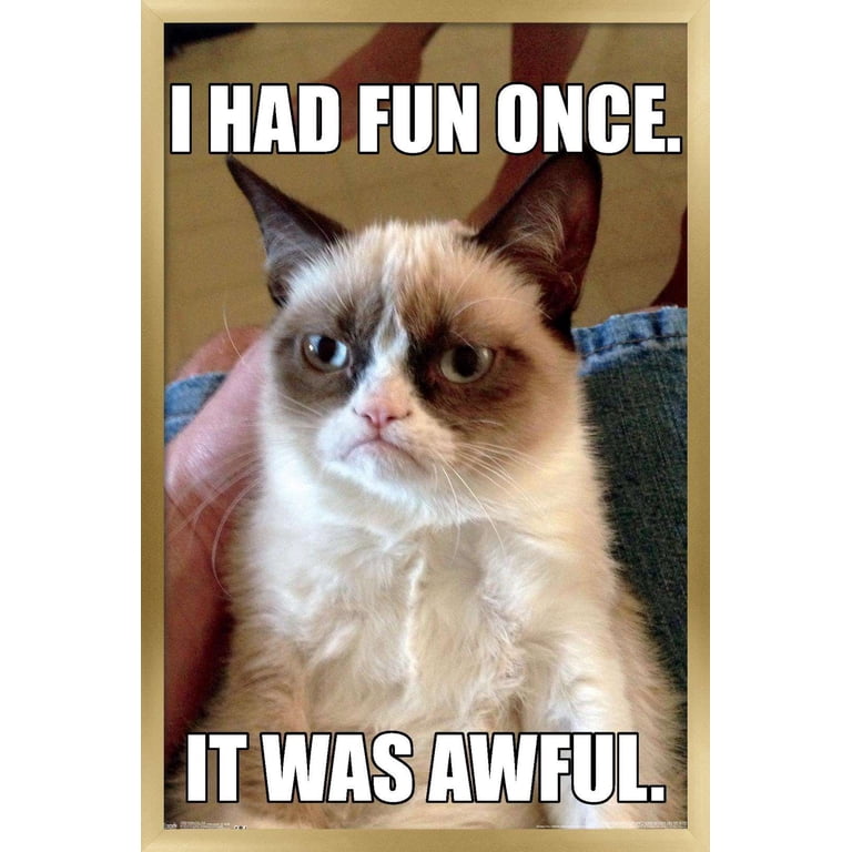 Funniest Grumpy Cat Quotes