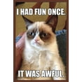 thumbnail image 1 of Grumpy Cat - Fun Wall Poster, 22.375" x 34", Framed, 1 of 2