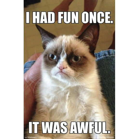 Grumpy Cat - Fun Wall Poster, 22.375" x 34"