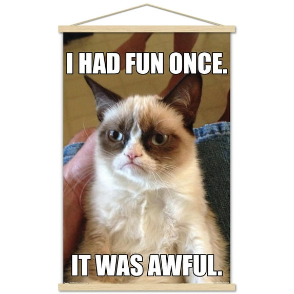 Grumpy Cat - Fun Wall Poster with Wooden Magnetic Frame, 22.375" x 34"