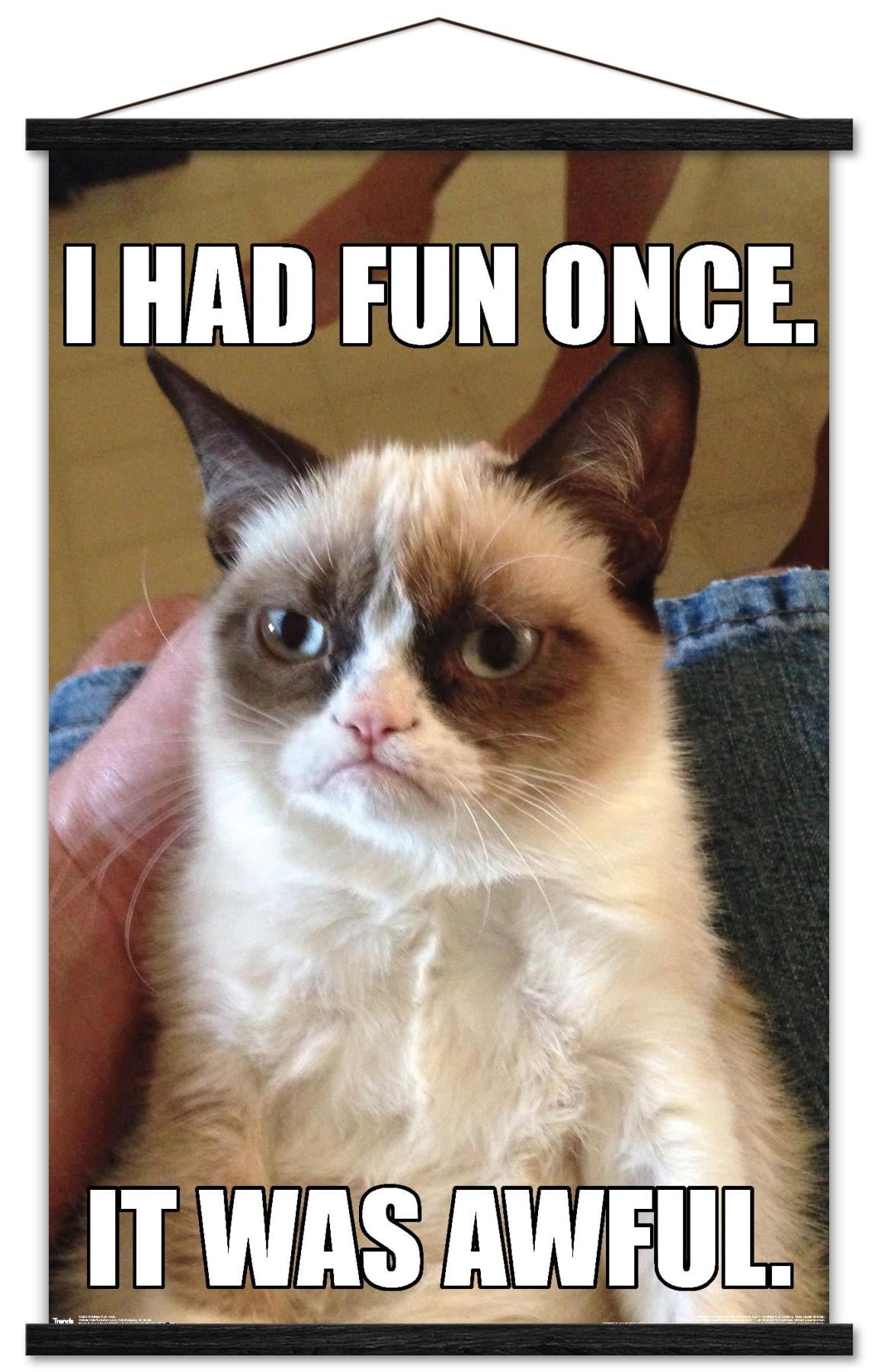 Grumpy Cat - Fun Wall Poster with Wooden Magnetic Frame, 22.375" x 34"