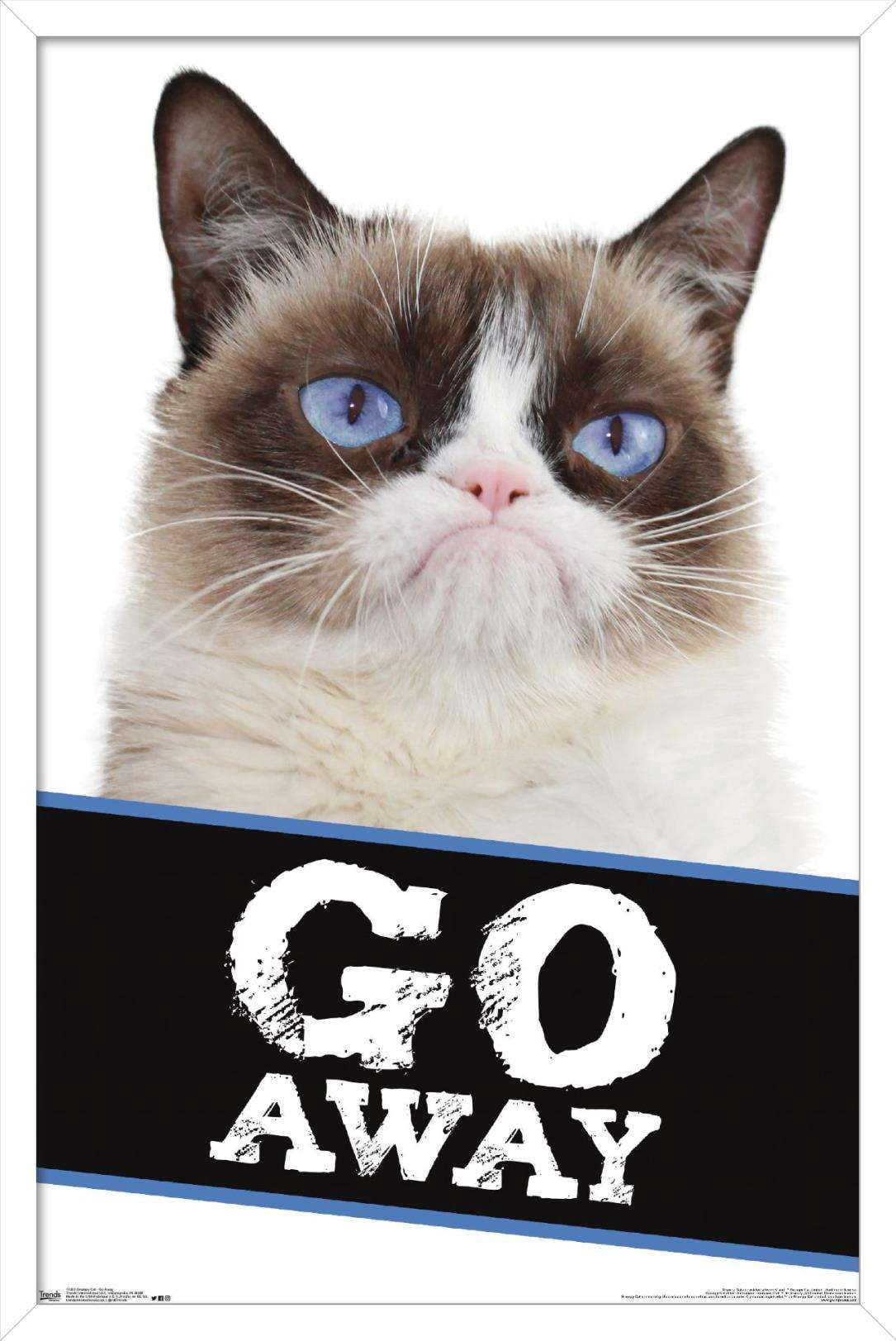 Grumpy Cat - Go Away Wall Poster, 14.725" x 22.375", Framed