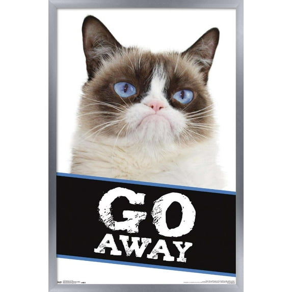Grumpy Cat - Go Away Wall Poster, 14.725" x 22.375", Framed