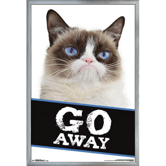 Grumpy Cat - Go Away Wall Poster, 22.375" x 34", Framed