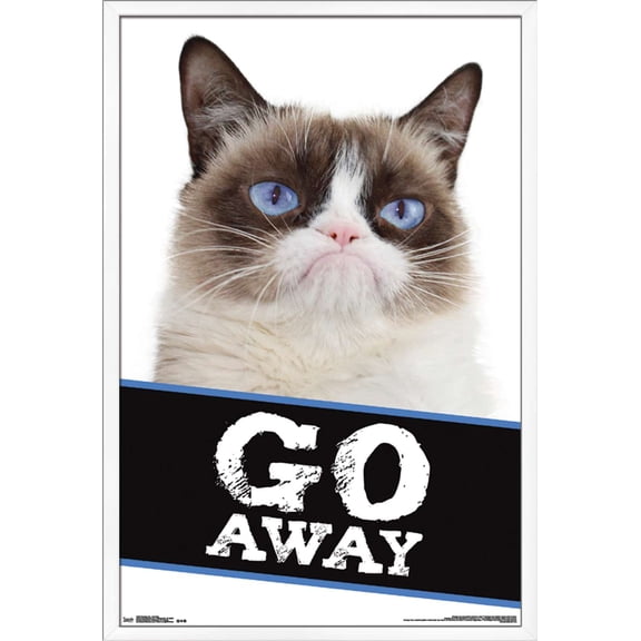 Grumpy Cat - Go Away Wall Poster, 22.375" x 34", Framed