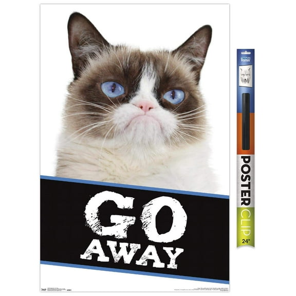 Grumpy Cat - Go Away Wall Poster, 22.375" x 34"