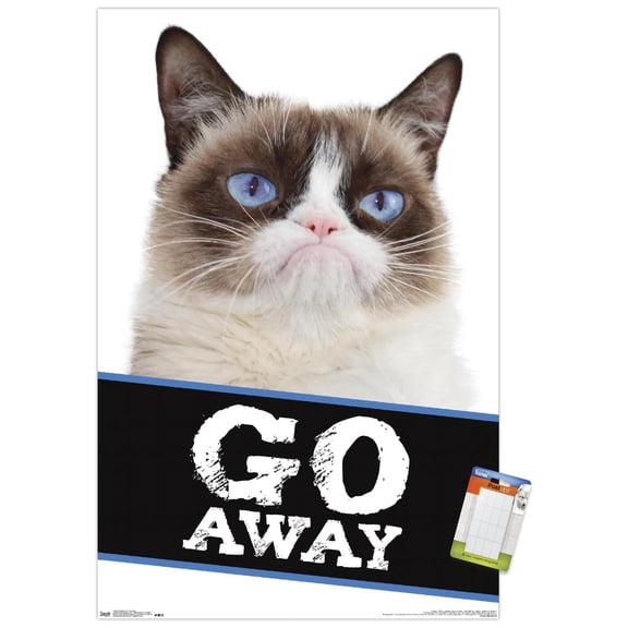Grumpy Cat - Go Away Wall Poster, 22.375" x 34"