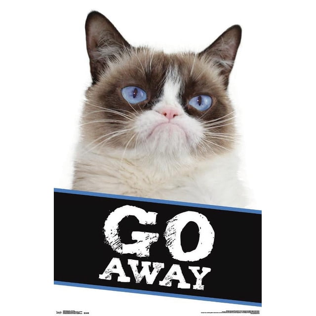 Work Sign Grumpy Cat Grumpy Cat - Go Away Wall Poster, 22.375