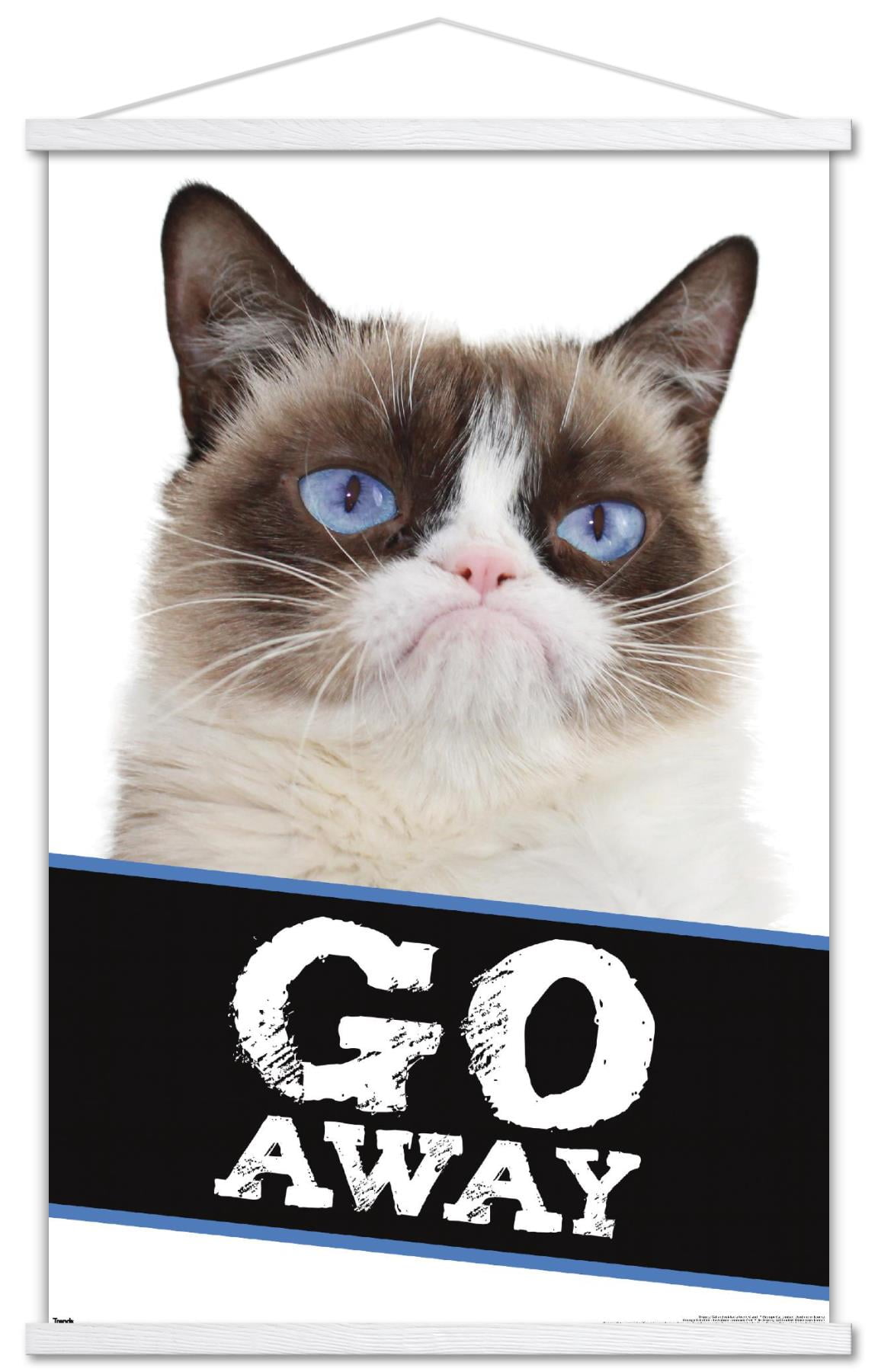 Grumpy Cat - Go Away Wall Poster with Magnetic Frame, 22.375" x 34"