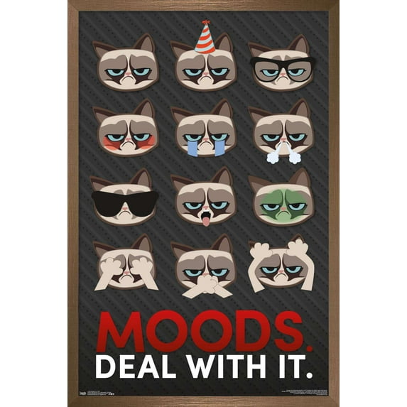Grumpy Cat - Grid Wall Poster, 14.725" x 22.375", Framed