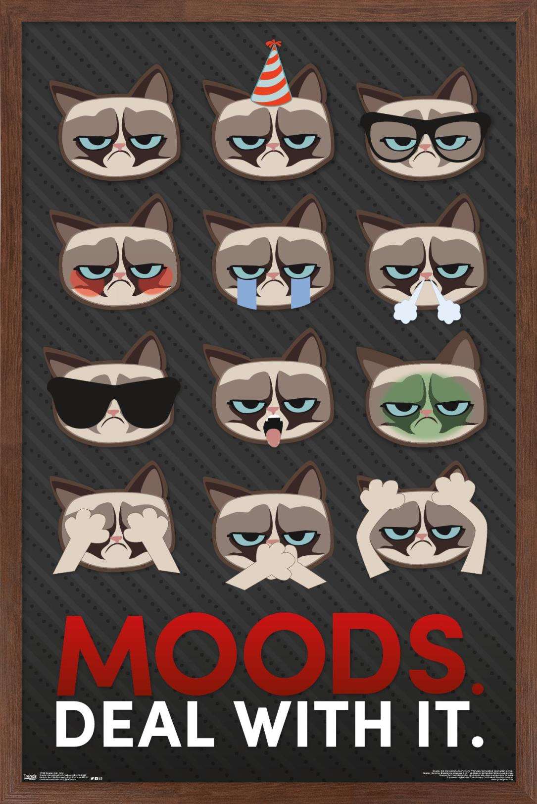 Grumpy Cat - Grid Wall Poster, 14.725" x 22.375", Framed