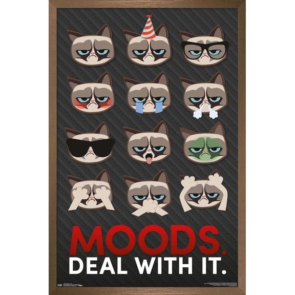 Grumpy Cat - Grid Wall Poster, 22.375" x 34", Framed