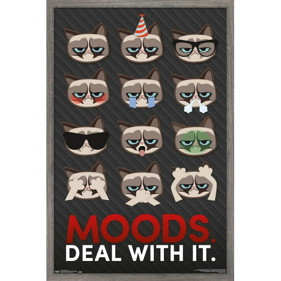Grumpy Cat - Grid Wall Poster, 22.375" x 34", Framed