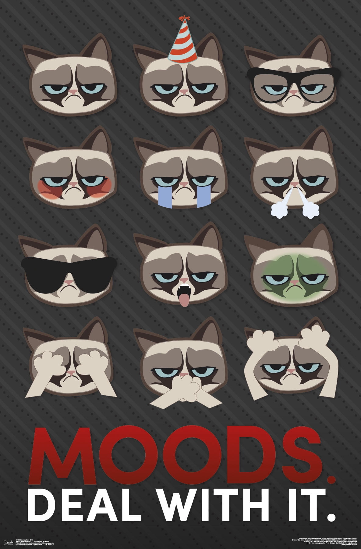 Grumpy Cat - Grid Wall Poster, 22.375" x 34"