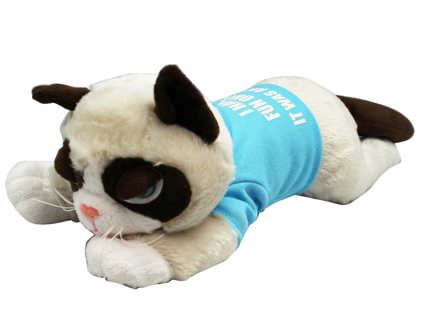 Grumpy Cat I Had Fun Once It Was Awful Plush Toy 13in