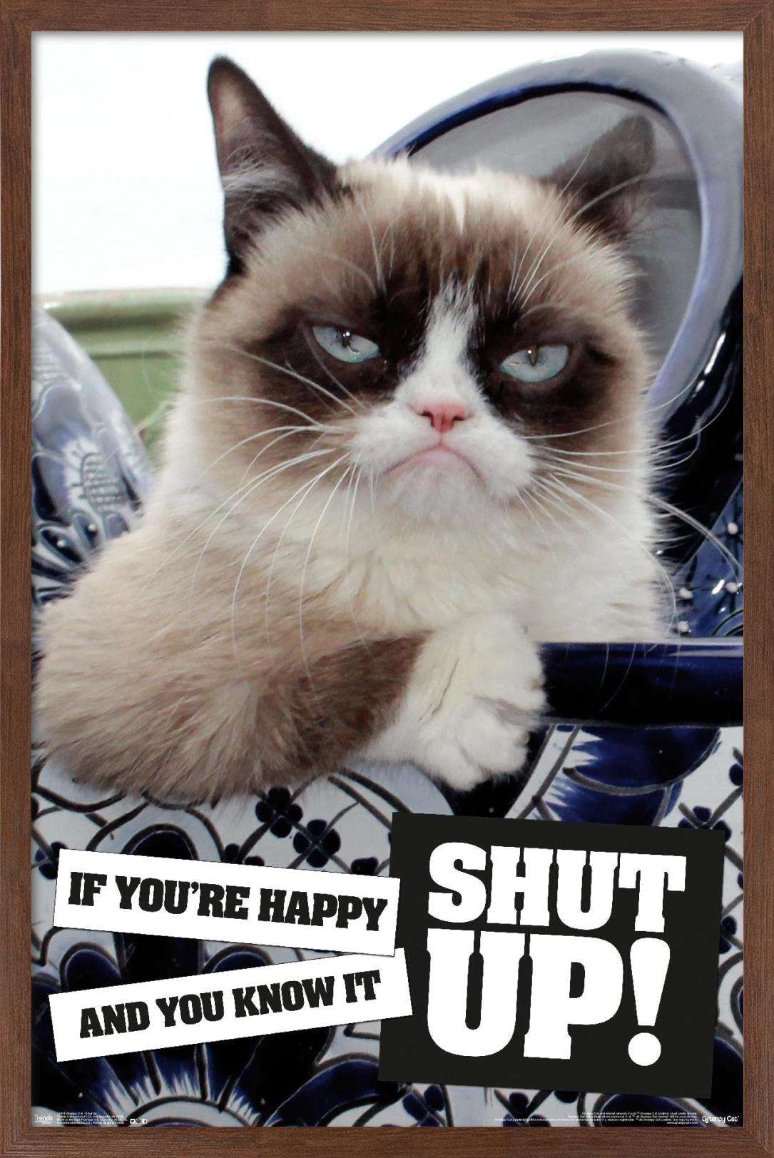 Grumpy Cat - Shut Up Wall Poster, 14.725" x 22.375", Framed