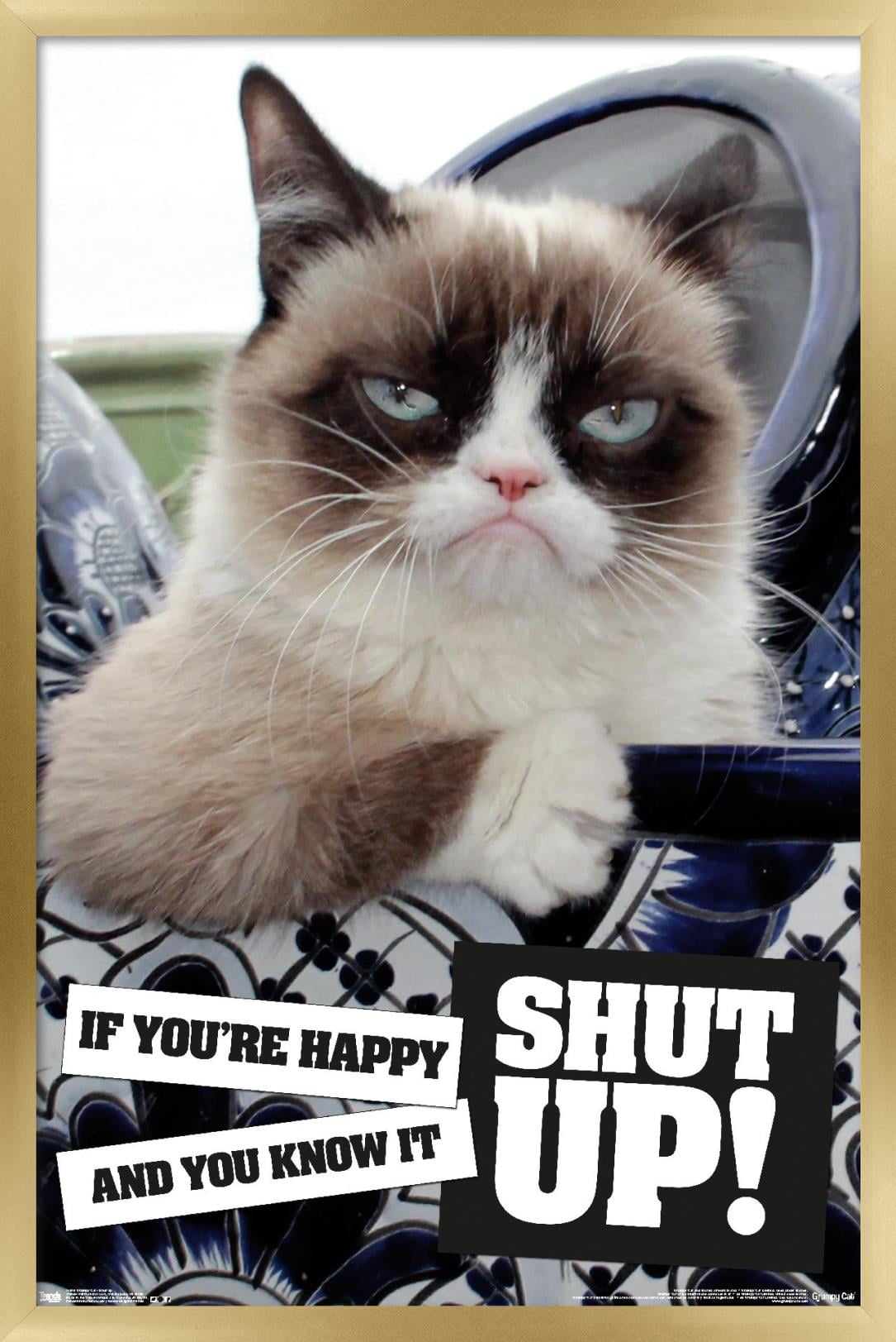 Fluff Off Angry Cat Poster by lovewithfluff