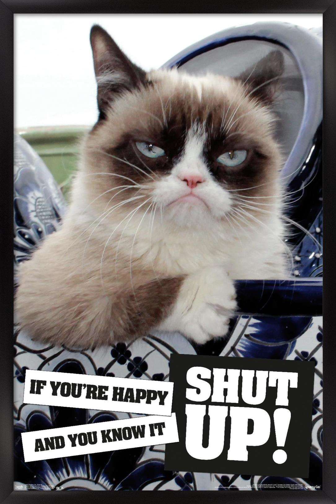Grumpy Cat - Shut Up Wall Poster, 14.725" x 22.375", Framed