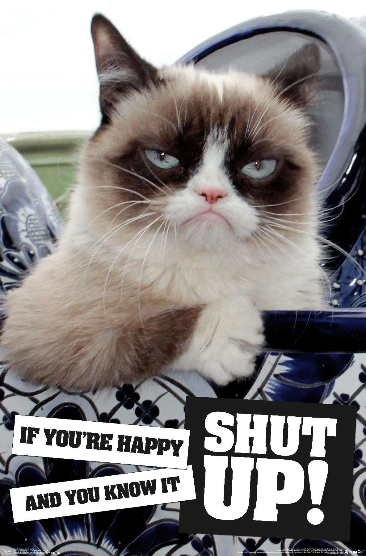 Grumpy Cat - Shut Up Wall Poster, 14.725" x 22.375"