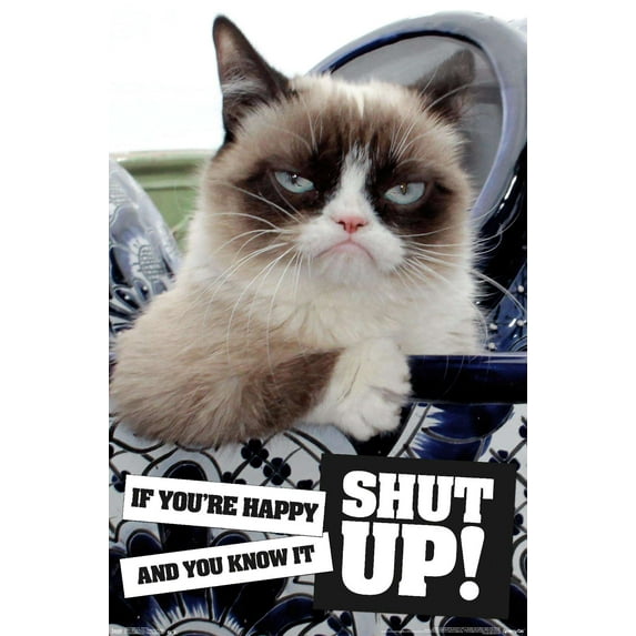 Grumpy Cat - Shut Up Wall Poster, 14.725" x 22.375"