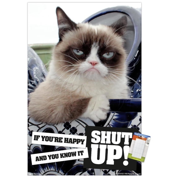 Grumpy Cat - Shut Up Wall Poster, 14.725" x 22.375"