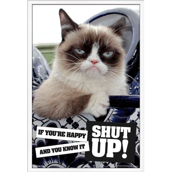 Grumpy Cat - Shut Up Wall Poster, 22.375" x 34", Framed