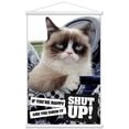 thumbnail image 1 of Grumpy Cat - Shut Up Wall Poster with Wooden Magnetic Frame, 22.375" x 34", 1 of 3