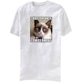 thumbnail image 1 of Grumpy Cat T-Shirt I Had Fun Once Adult Tee, 1 of 1