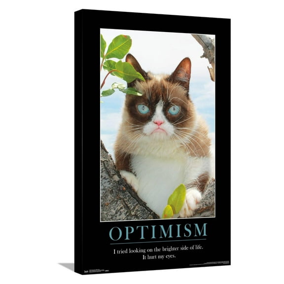 Grumpy Cat - The Brighter Side Canvas Wall Poster, 14.725" x 22.375"