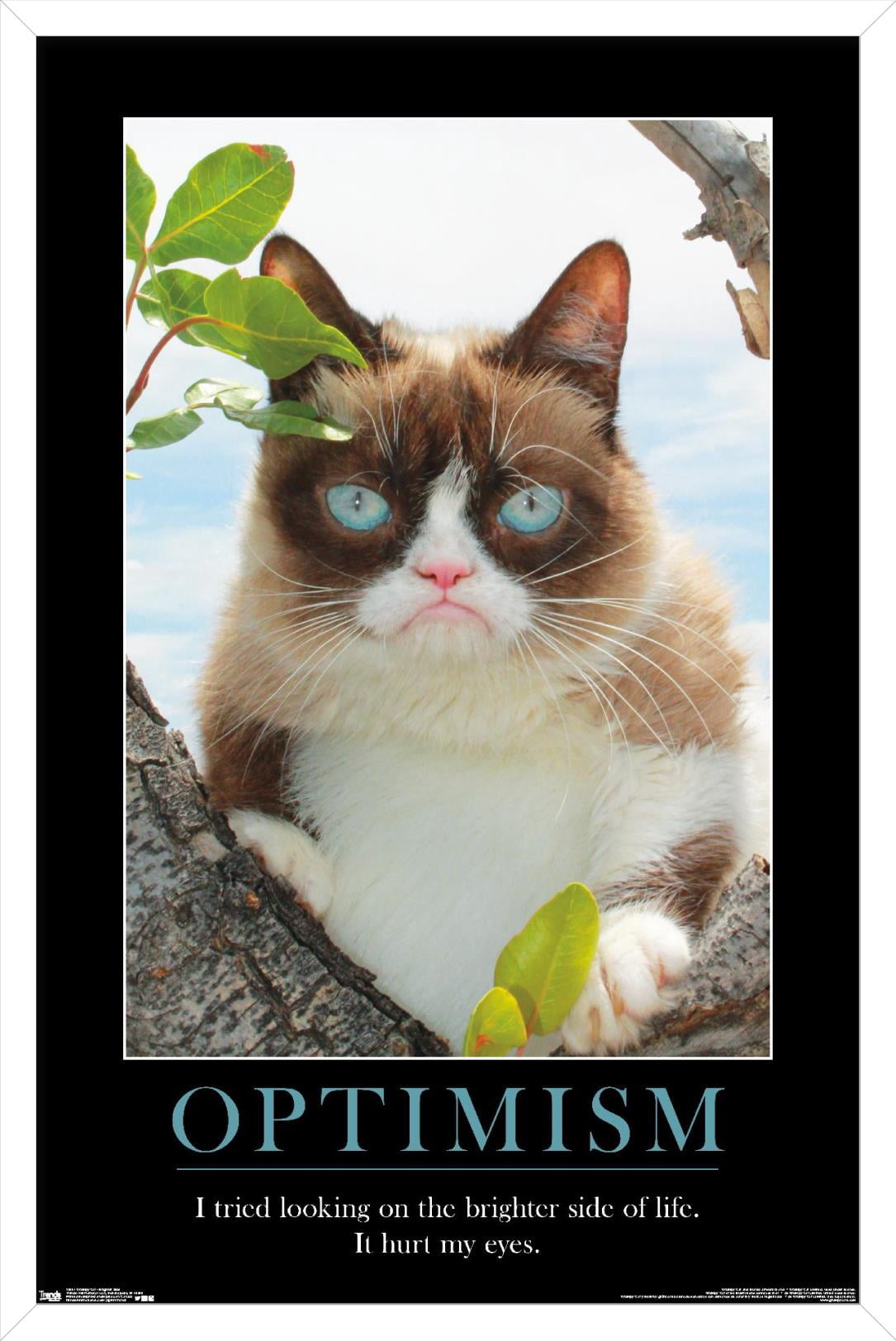 Grumpy Cat - The Brighter Side Wall Poster, 14.725" x 22.375", Framed