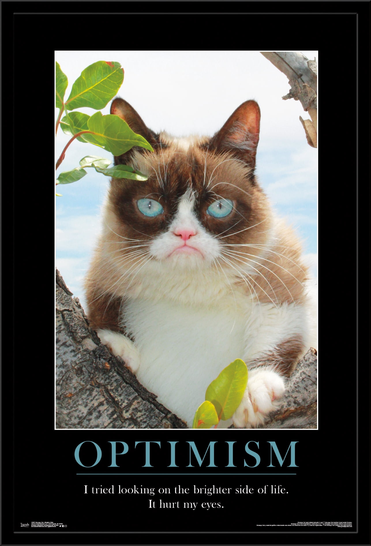 Grumpy Cat - The Brighter Side Wall Poster, 22.375" x 34", Framed