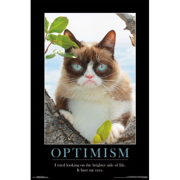 Grumpy Cat - The Brighter Side Wall Poster, 22.375" x 34"