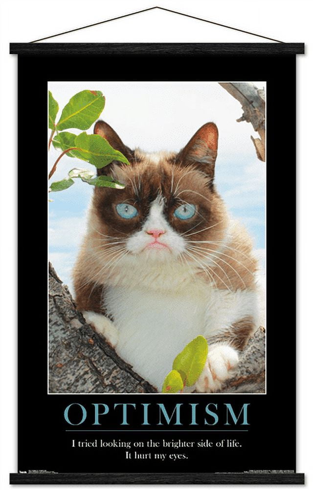 気難し屋の猫　Ultra Pro　Grumpy Cat 気難し屋の猫 Ultra Pro Grumpy Cat Amazon.com: Ultra Pro