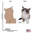 thumbnail image 1 of Advanced Graphics 3047 37 x 26 in. Grumpy Cat Cardboard Cutout, 1 of 3