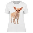thumbnail image 1 of Grumpy Looking Chihuahua T-Shirt Women -Image by Shutterstock, Female 3X-Large, 1 of 2