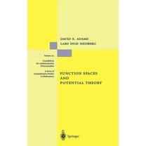 Grundlehren Der Mathematischen Wissensch Function Spaces and Potential Theory, Book 314, (Hardcover)