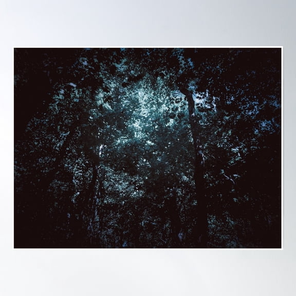Grunge Forest Blue Dazecore Aesthetic Vintage Wide Angle Darkmode Vampire Poster Wall Art, Modern Wall Decor, 16x24 UNFRAMED
