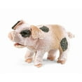 thumbnail image 1 of Grunting Pig Hand Puppet (Other) for Children, 1 of 3