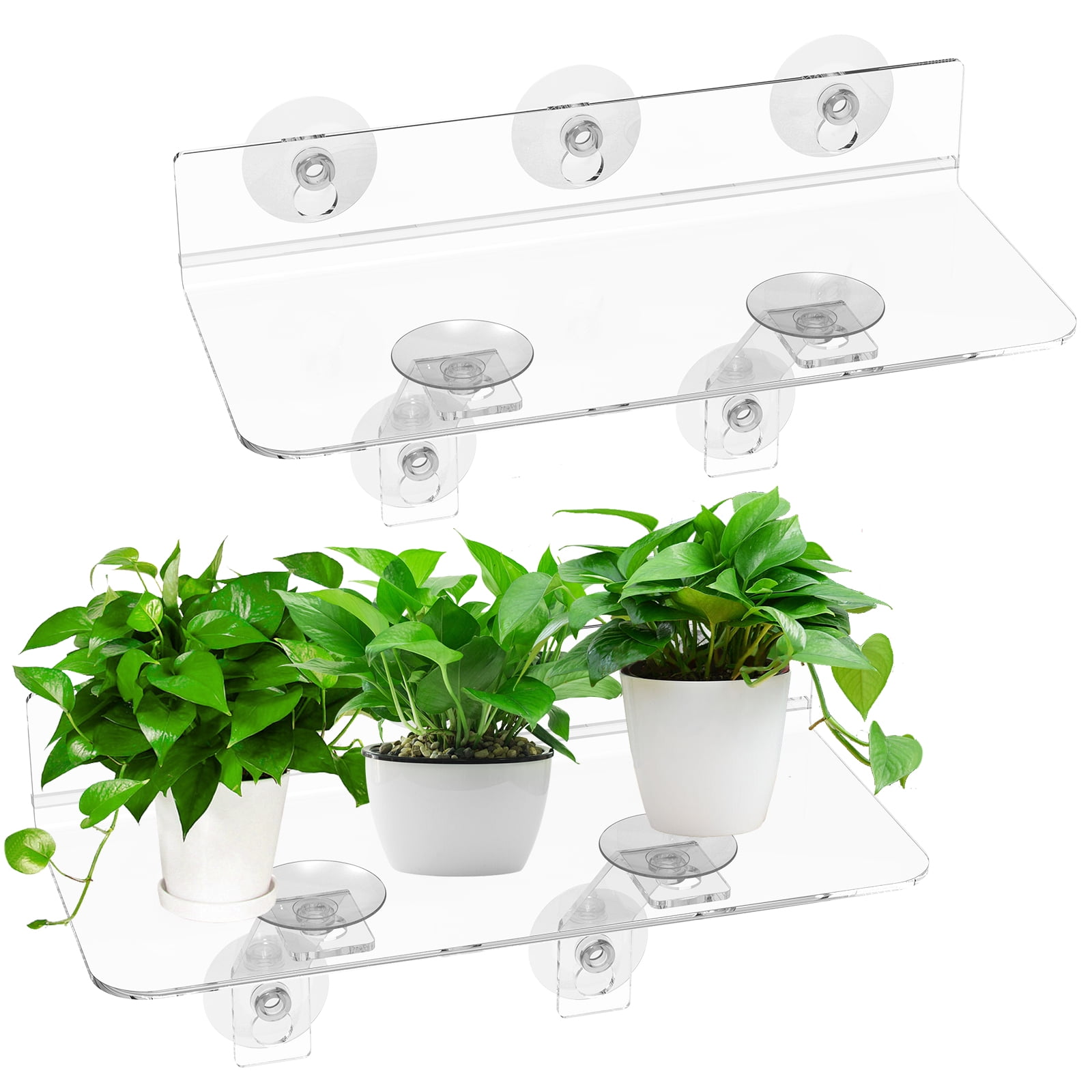 Grusce 2PCS Acrylic Window Plant Shelf, Window Plant Stand with Suction ...
