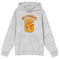 thumbnail image 1 of Gryffindor Grey Long Sleeve Hoodie-XL, 1 of 7
