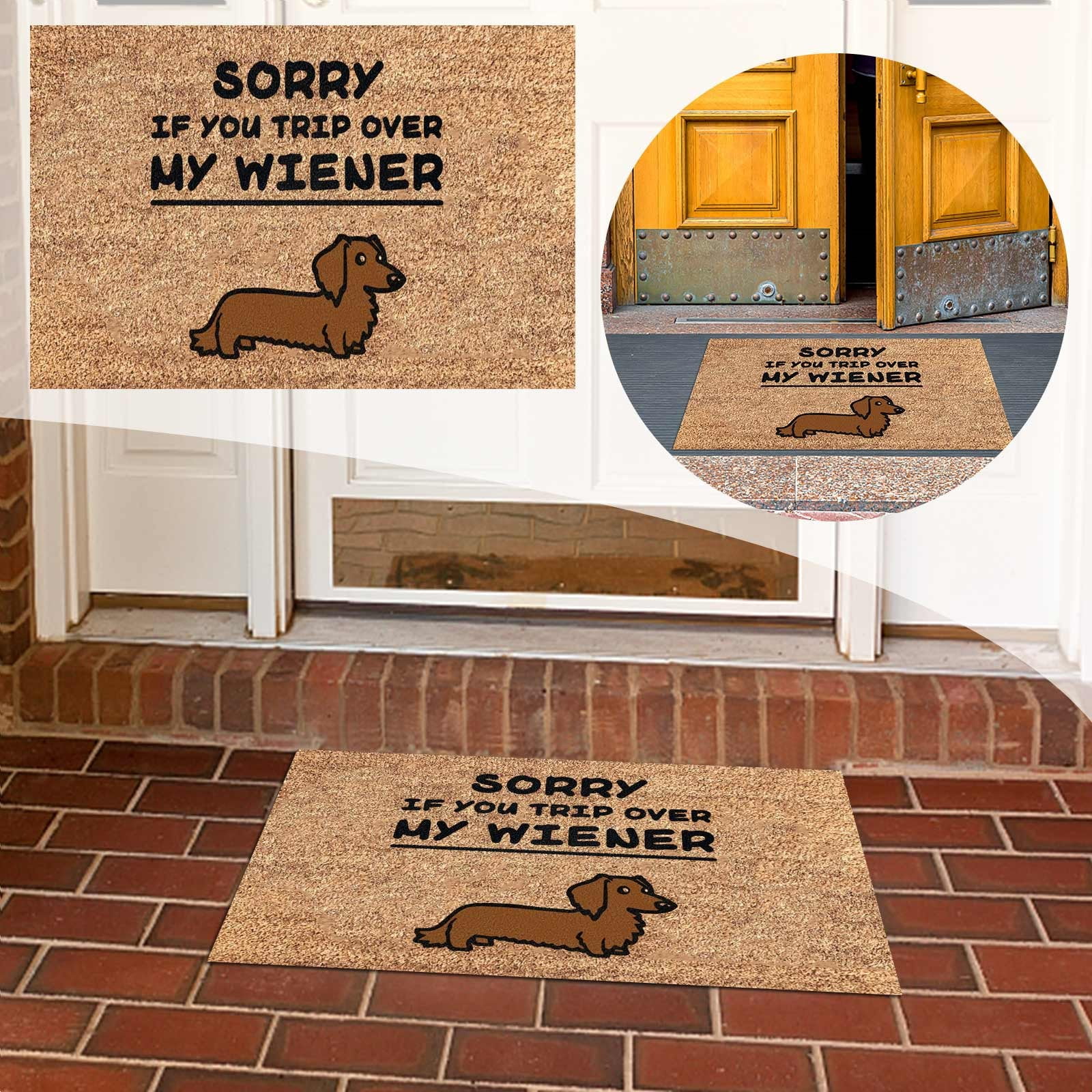 GuaLeg Decorative Door Mat Bathroom Mat Door Mat Floor Mat