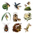 GUACAMOLE Fireflies and Lantern Light Rub-On Decals, 9 Count - Walmart.com