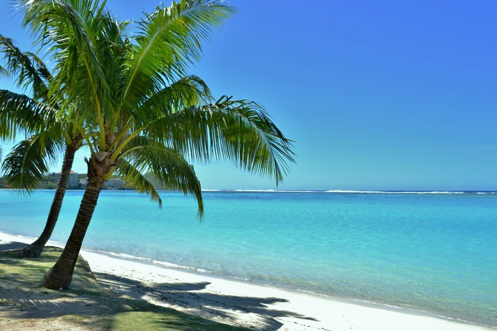Bandiera Guam 12x18 Pollici - Trade Winds Per Barca, Auto, Giardino - 100% Poliestere