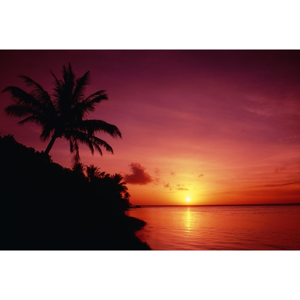 Guam Pago Bay Sunrise And Palm Tree Bright Pink Sky Poster Print