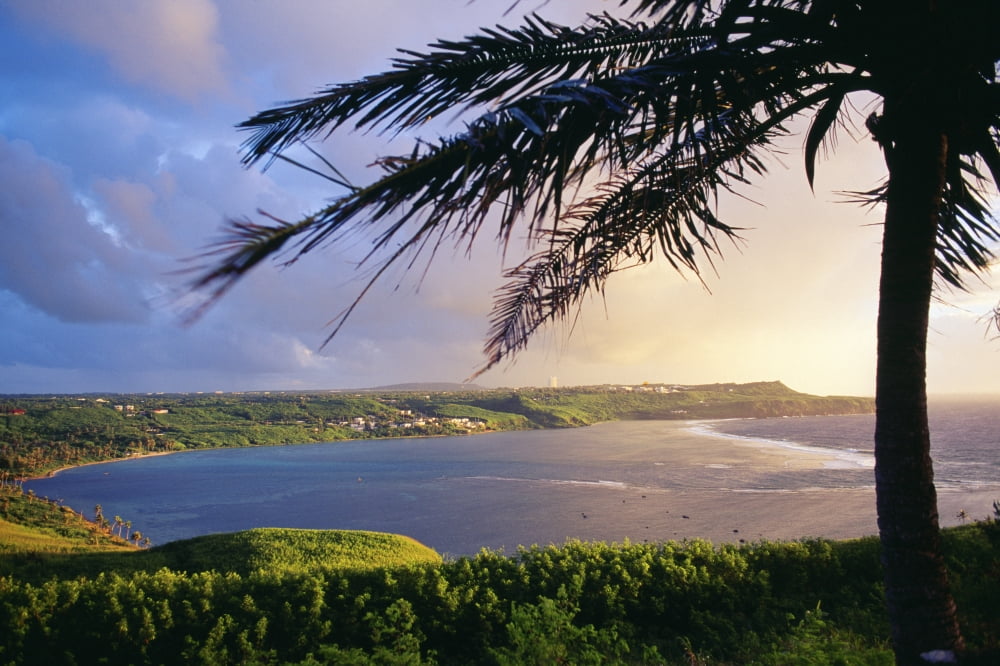 Guam View Of Pago Bay From University Of Guam Silhouette Of Palm Tree Canvas Art - Greg Vaughn Design Pics (19 x 12)