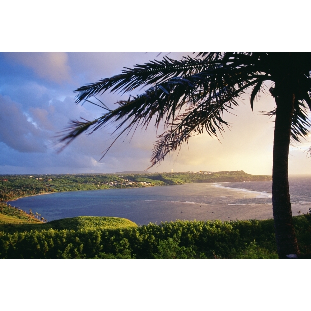 Guam View Of Pago Bay From University Of Guam Silhouette Of Palm Tree Poster Print
