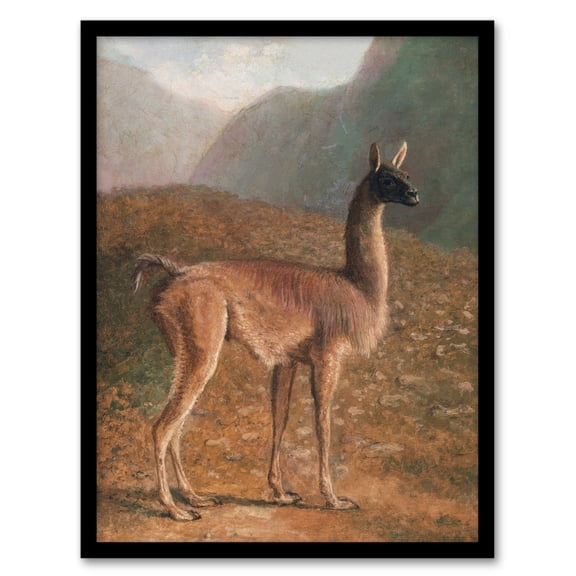 Guanaco Llama in Mountain Landscape Agasse Framed Wall Art Print 12X16"
