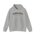 thumbnail image 1 of Guanajuato Mexico Hoodie Gifts Hooded Sweatshirt, 1 of 4