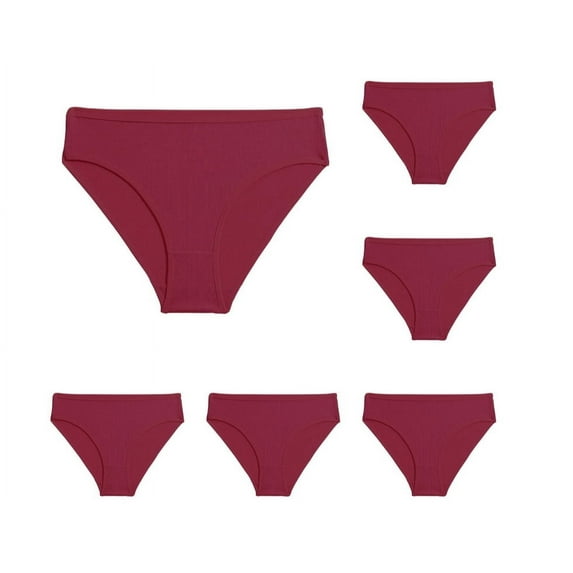 Guanyst Women's Physiological Panties, No Show Underwear for Women Seamless High Cut Briefs Mid-waist Soft No Panty Lines,Pack of 6