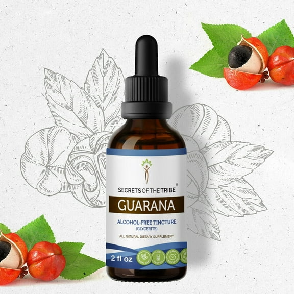 Secrets Of The Tribe Guarana Tincture Dietary Supplement, Natural Herbal Extract for Energy Support, Guarana (Paullinia cupanais) Dried Seed, Alcohol-Free Extract, Drops 2 oz